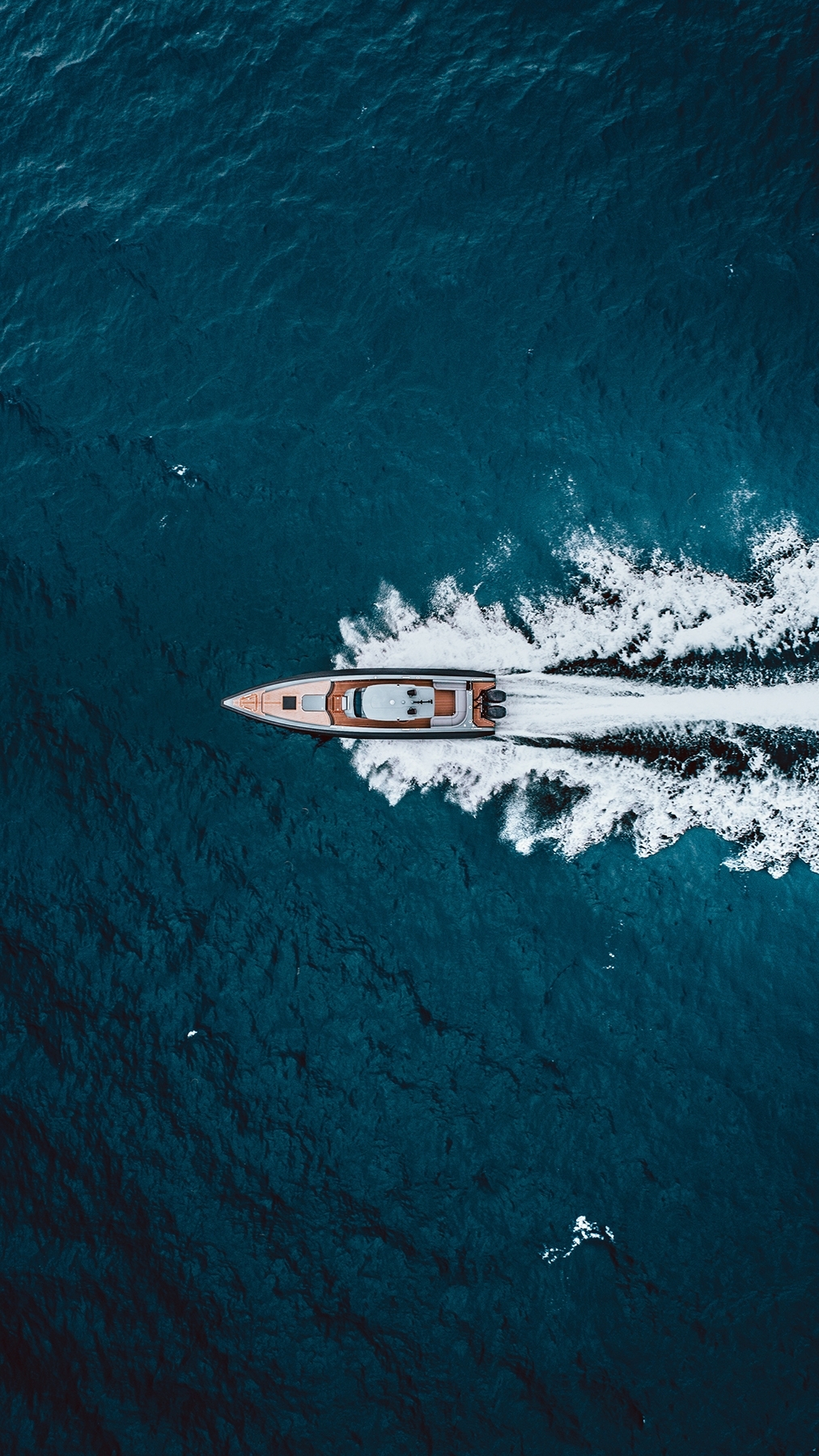 Dingo Yachts