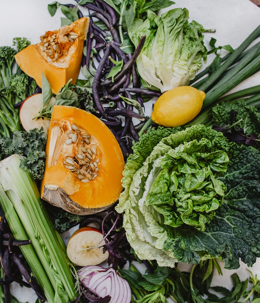 Nourish and Feed