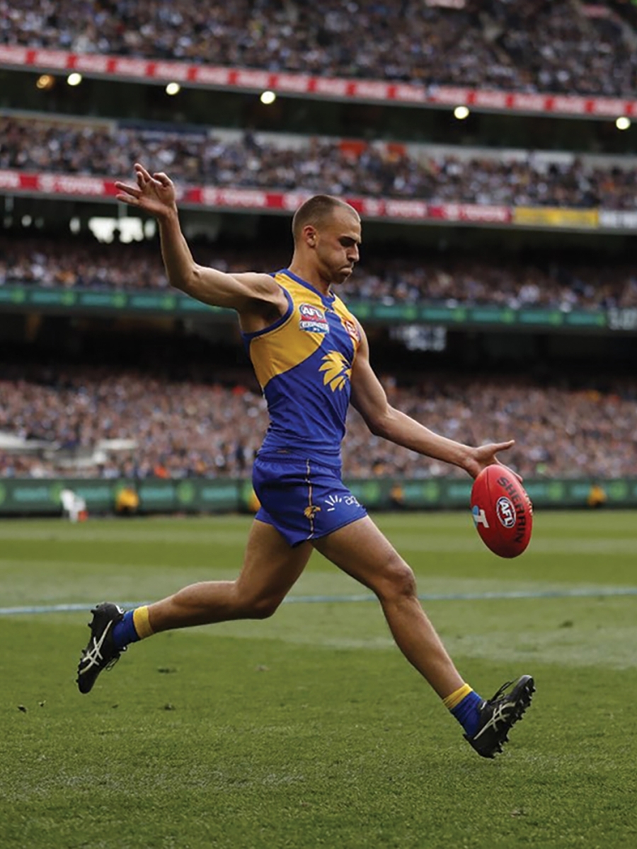 Dom Sheed