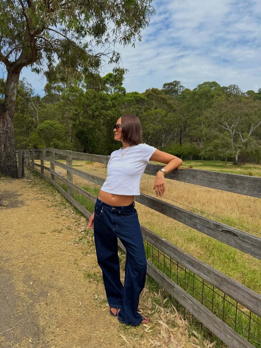 LIZ 10